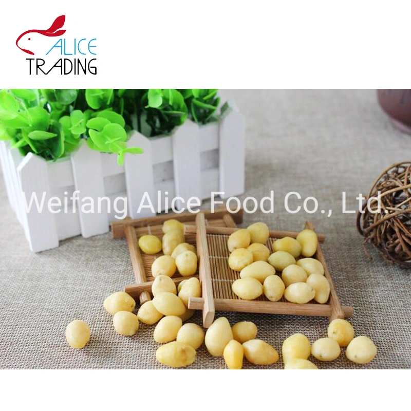 Healthy Chinese Snack vacuum Fried Gingko