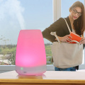 Minyak Diffuser Oil Flower Portable 100ml Di Walmart