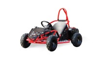 1000w electric go karts for kids