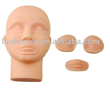 Permanent makeup tattoo practice model head mannequin head