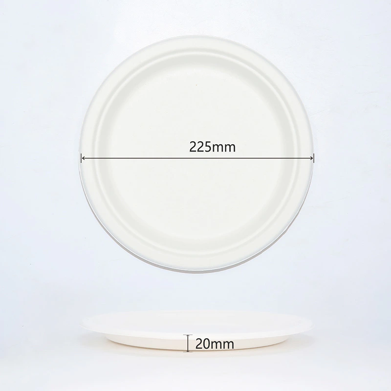 100% Biodegradable Eco-Friendly Sugarcane Bagasse Disposable 10'' Round Plate