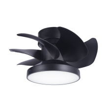 Black Modern Decorative Ceiling Fan with LED Module