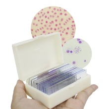 Human Chromosome Microscope Slide Set - 14 Pieces for Genetics Classes and Teaching
