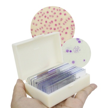 Human Chromosome Microscope Slide Set - 14 Pieces for Genetics Classes and Teaching