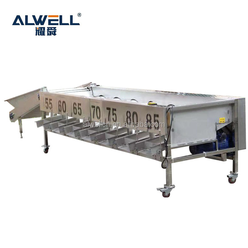 Hot Sale China Fruit Roller Sorting Machine