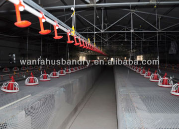 automatic poultry broiler farming equipment chicken system