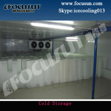 Cold Storage Room for Block Ice