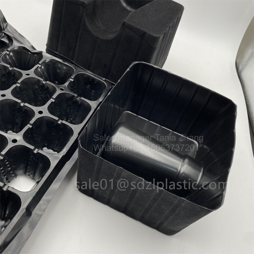 Black PS sheet seedling tray wine tray