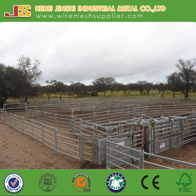 6 Rail Livestock Panel/Horse Panel/Sheep Panel Made in China