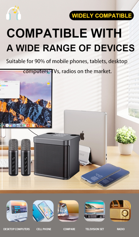 HiFi Wireless Bluetooth Mini KTV Karaoke Speaker with dual microphone
