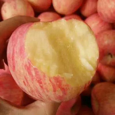 Sweet Fruit Fresh FUJI Apple From China