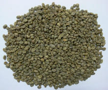 screen 15-17 yunnan green coffee beans