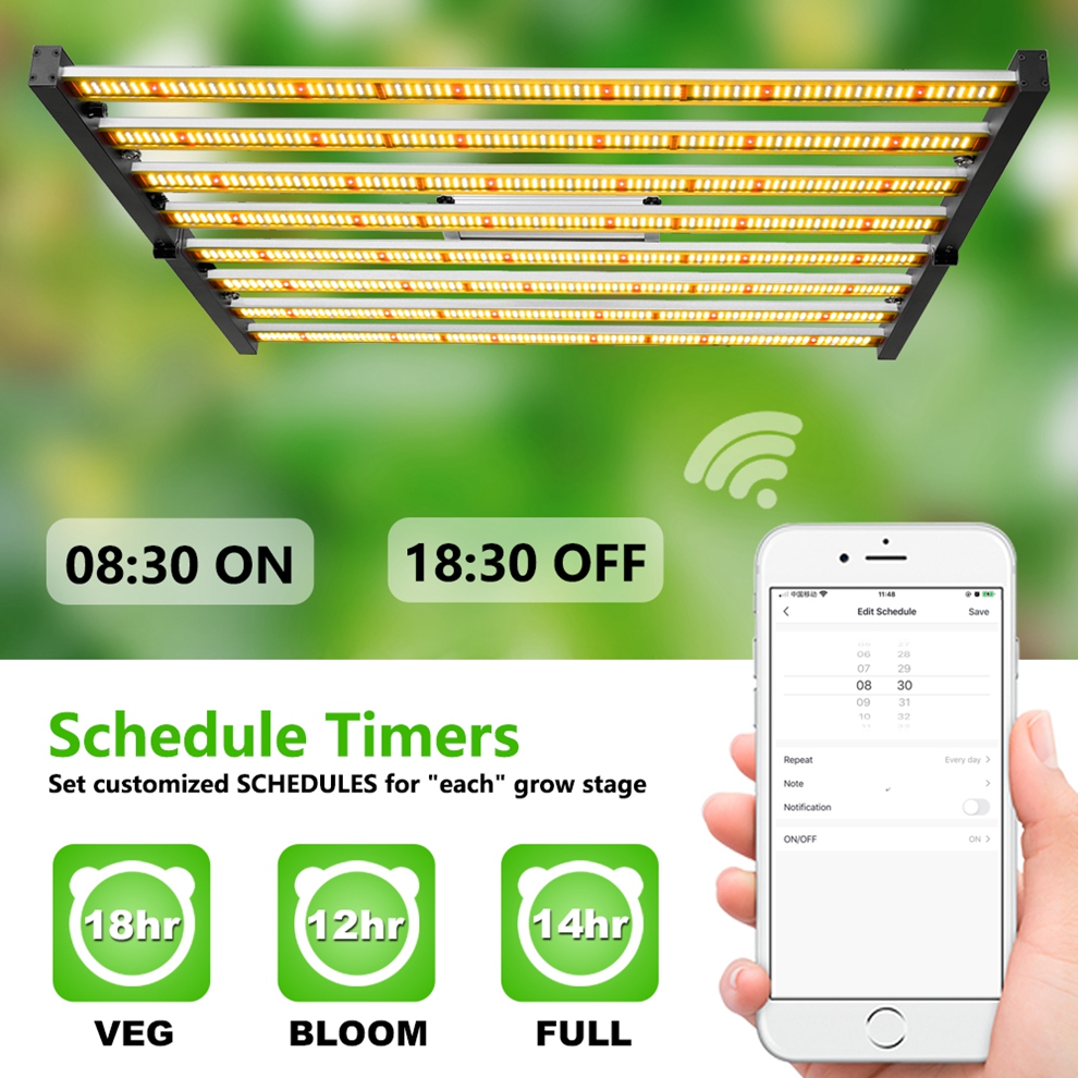 10 Indoor Plants Led Grow Light