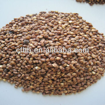 Roasted buckwheat kernels /Buckwheat