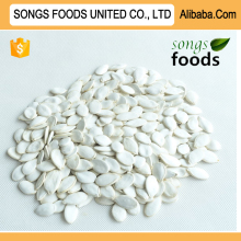 Exports Egyption Snow White Pumpkinseeds New Crop