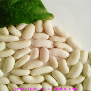 white kidney beans (long shape)