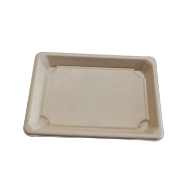 Sugarcane Pulp Bagasse Tableware Food Sushi Tray