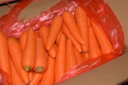 Harga pabrik wortel segar dengan kualitas bagus