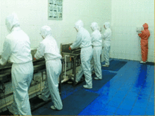 Stainless steel Hand washing tank