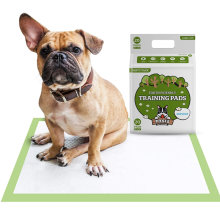 Earth-Friendly Puppy Pee Pad