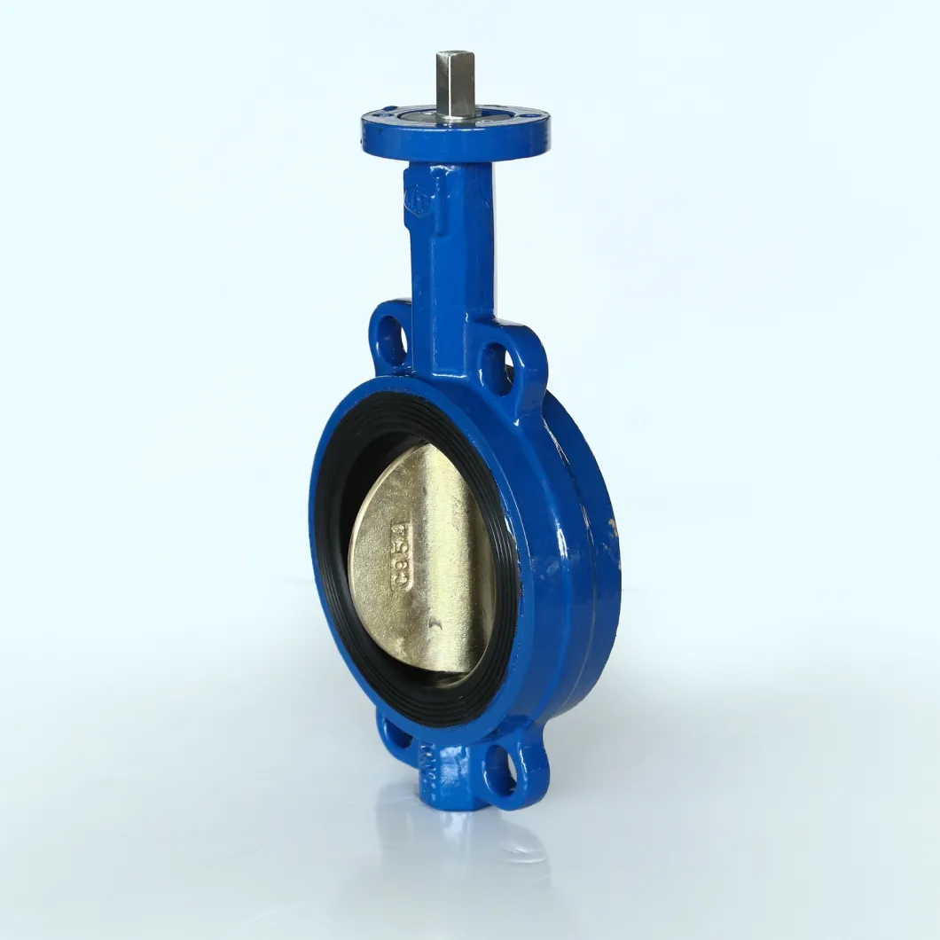 Resilient Seat Non Back up Replaceable Design Butterfly Valve with Lever Gear Operation