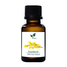 Forsythia oil of Chinese Medicine Oil