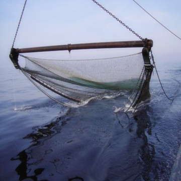 Polyethylene Beam Trawl Net