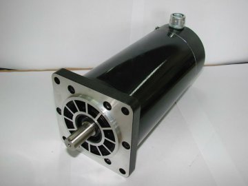 step motor