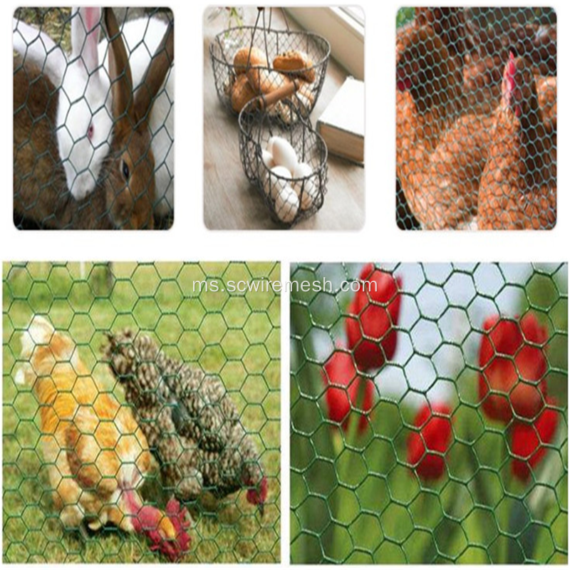 Ayam dan Arnab SS Hexagonal Wire Mesh