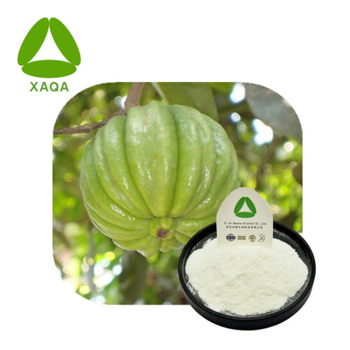 Garcinia Cambogia Extract HCA 60% Pulver CAS 90045-23-1