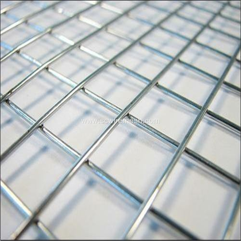 Galvanized Welded Wire Mesh Rolls For Building