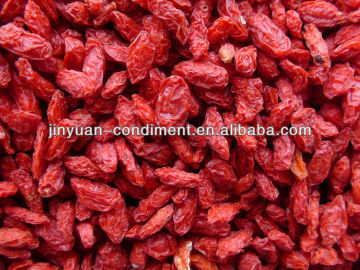 Dried Red goji Wolfberry