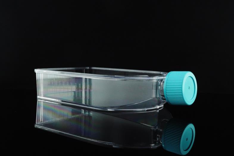 T150 בקבוק תרבית תאי אוורור נכסים ללא טיפולים