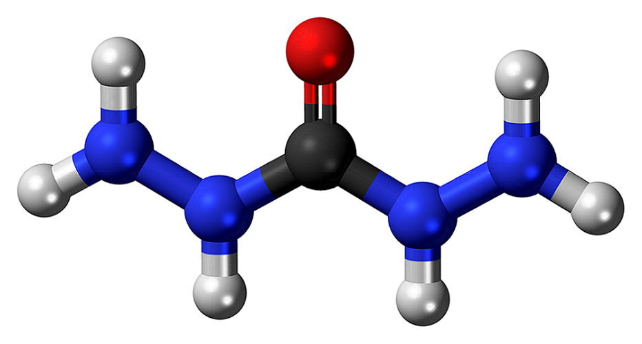 No CAS 497-18-7 Carbohidrazida