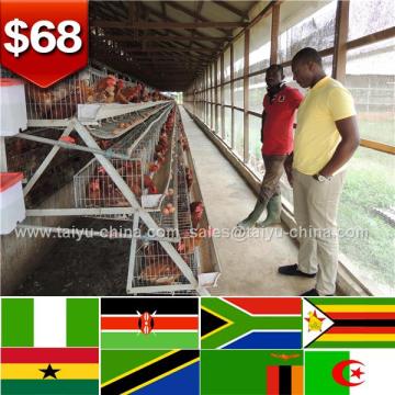 African warehouse and office chicken equipment chicken cage size