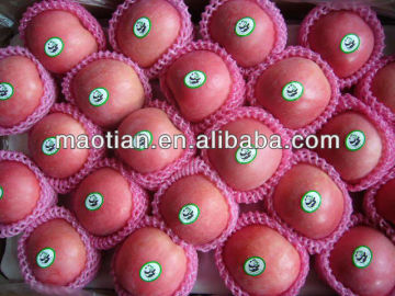 Fresh Red Fuji Apple Fruit