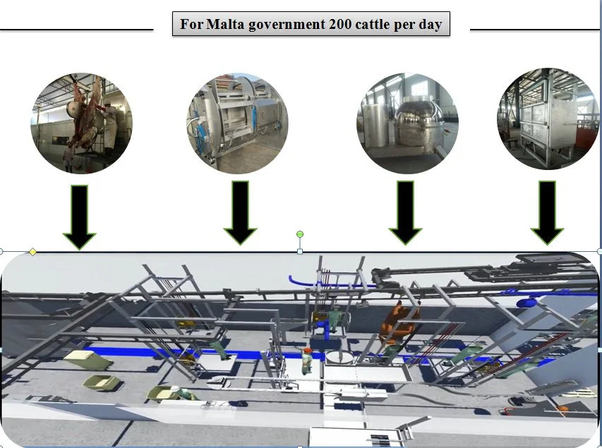 Beef Cattle Cow Slaughterhouse Abattoir Equipment