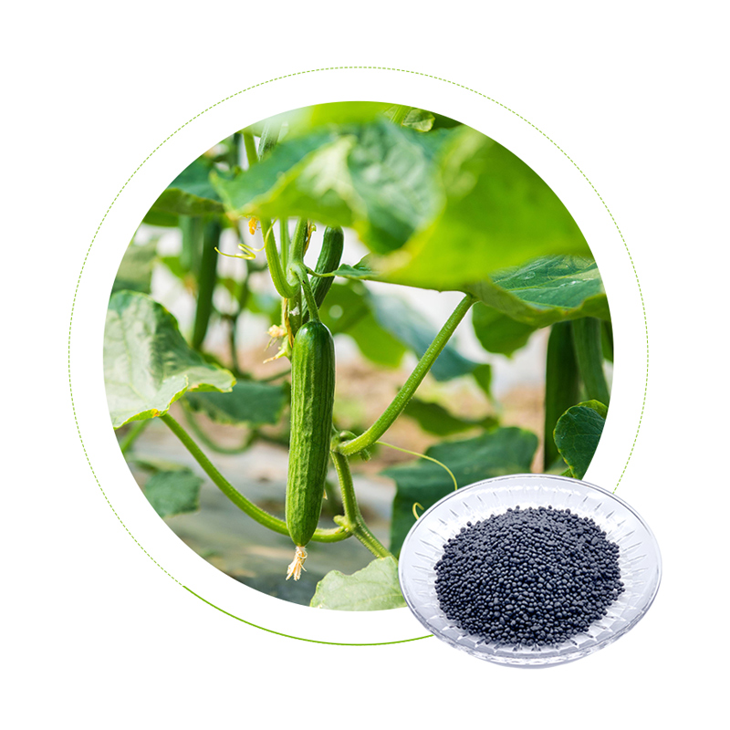 Dr Aid Foliar fertilizer Potassium Humate Fertilizer Potassium Fertilizer For Agricultural Vegetables And Fruits