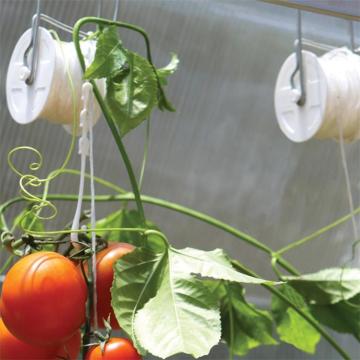 Tomates que enredan el gancho del rodillo del tomate para la ayuda de la siembra