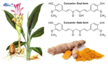 Cheap Price Yellow Pigment Natural Curcumin Extract 95%