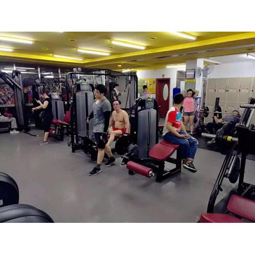 350㎡ Complete Gym Equipment Package