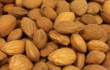 Top Quality Semen Persicae