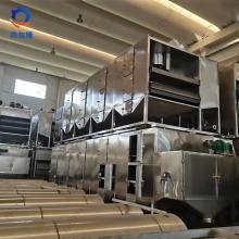 Mesh Belt Dryer for Drying Apple Flakes