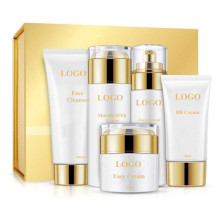 Wholesale Custom Advanced Formula Skin Care Set
