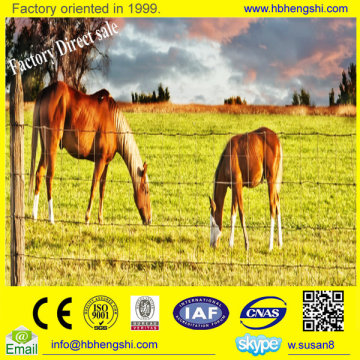 Cheap factory 13 line,122cm high equine fencing