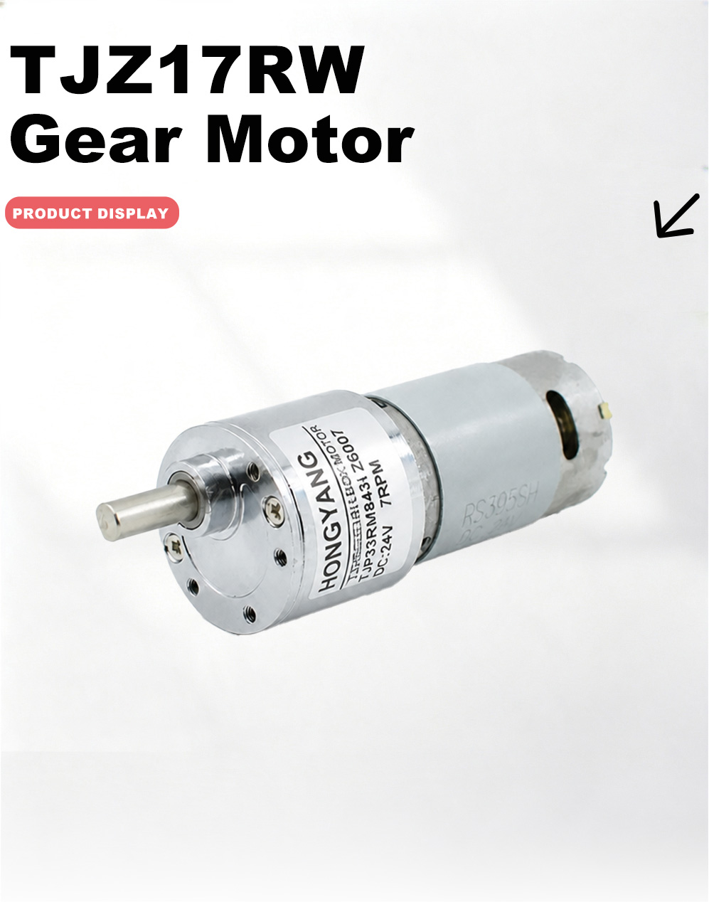 33RM Dişli Motor-x 33RM Gear Motor-x