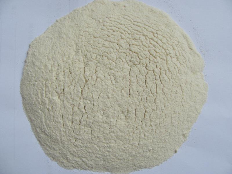 Garlic Powder 100 120 Mesh