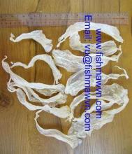 sell fish maw