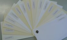 Conqueror paperboard