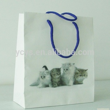 2015 new style popular paper bag with logo,famous brand paper bag,custom kraft paper bag